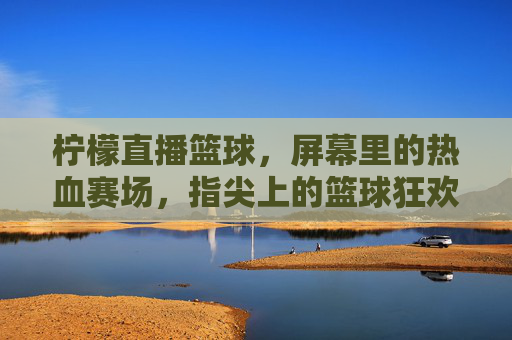 柠檬直播篮球,屏幕里的热血赛场,指尖上的篮球狂欢