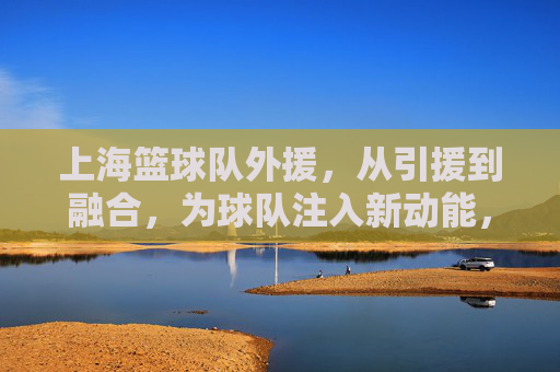 上海篮球队外援,从引援到融合,为球队注入新动能,上海篮球队外援,从引援到融合,为球队注入新动能