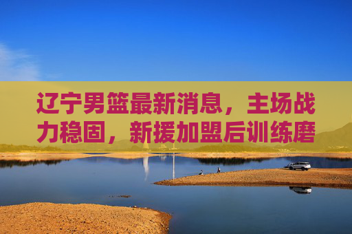 辽宁男篮最新消息,主场战力稳固,新援加盟后训练磨合深入,新赛季备战全面提速,辽宁男篮新援磨合深入,备战提速,主场战力稳固