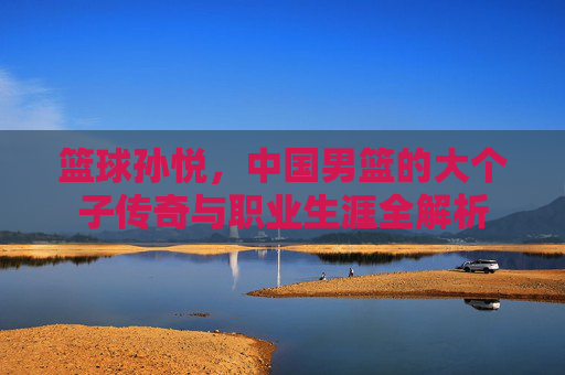 篮球孙悦,中国男篮的大个子传奇与职业生涯全解析
