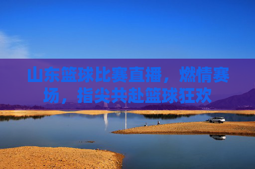 山东篮球比赛直播,燃情赛场,指尖共赴篮球狂欢