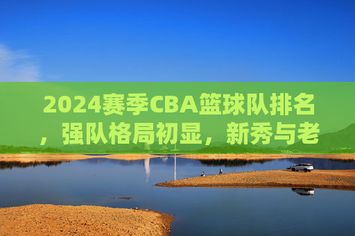 2024赛季CBA篮球队排名,强队格局初显,新秀与老将的博弈