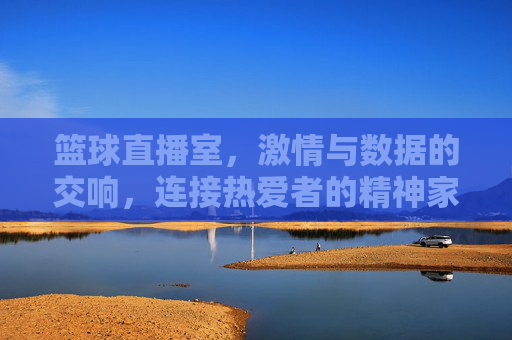 篮球直播室，激情与数据的交响，连接热爱者的精神家园，篮球直播室，激情与数据的交响，连接热爱者的精神家园