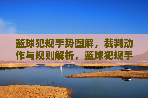 篮球犯规手势图解,裁判动作与规则解析,篮球犯规手势图解,裁判动作与规则解析