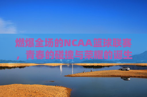 燃爆全场的NCAA篮球联赛,青春的碰撞与荣耀的诞生,燃爆全场的NCAA篮球赛,青春碰撞与荣耀的诞生