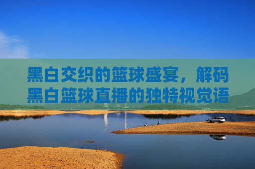 黑白交织的篮球盛宴,解码黑白篮球直播的独特视觉语言与沉浸式体验,黑白交织的篮球盛宴,解码黑白篮球直播的独特视觉语言与沉浸式体验
