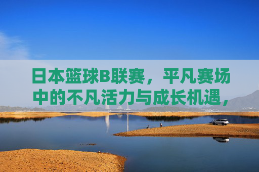 日本篮球B联赛,平凡赛场中的不凡活力与成长机遇,日本篮球B联赛,平凡赛场中的不凡活力与成长机遇