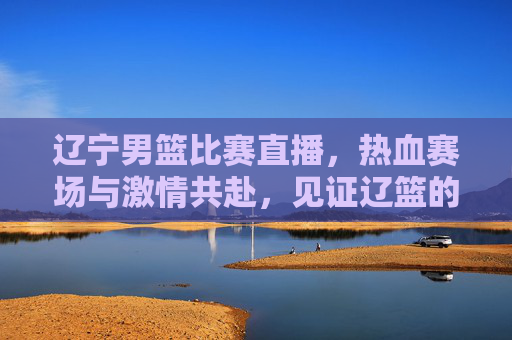 辽宁男篮比赛直播，热血赛场与激情共赴，见证辽篮的每一次拼搏与荣耀，辽宁男篮比赛直播，热血赛场与激情共赴，见证辽篮的每一次拼搏与荣耀