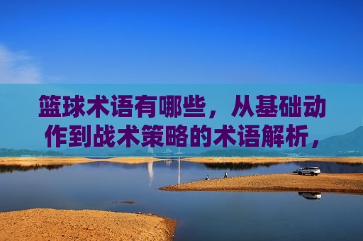 篮球术语有哪些,从基础动作到战术策略的术语解析,篮球术语详解,从基础动作到战术策略的全面解析