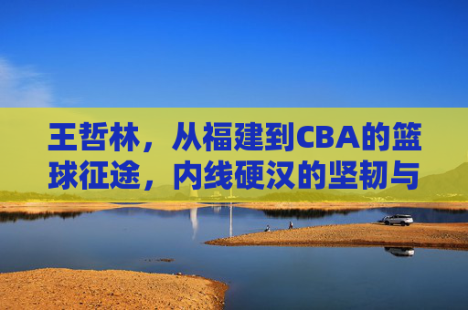 王哲林，从福建到CBA的篮球征途，内线硬汉的坚韧与突破，王哲林，从福建到CBA的征途，内线硬汉的坚韧与突破