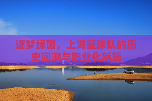 逐梦绿茵,上海篮球队的历史回溯与职业化新篇