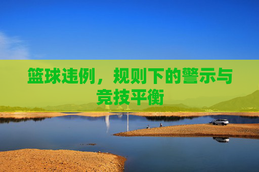 篮球违例,规则下的警示与竞技平衡