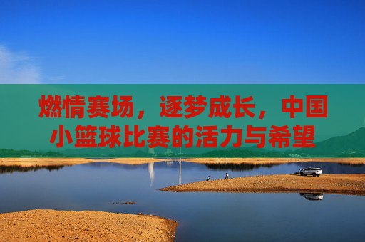 燃情赛场,逐梦成长,中国小篮球比赛的活力与希望