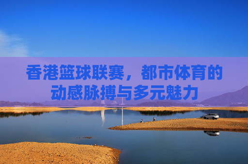 香港篮球联赛,都市体育的动感脉搏与多元魅力