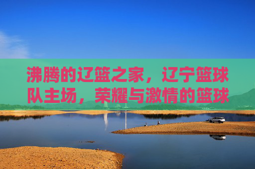 沸腾的辽篮之家,辽宁篮球队主场,荣耀与激情的篮球圣殿