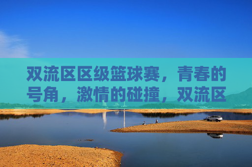 双流区区级篮球赛，青春的号角，激情的碰撞，双流区区级篮球赛，青春的号角，激情的碰撞