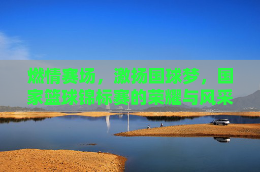 燃情赛场,激扬国球梦,国家篮球锦标赛的荣耀与风采,燃情赛场,激扬国球梦,国家篮球锦标赛的荣耀与风采