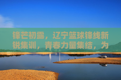 锋芒初露,辽宁篮球锋线新锐集训,青春力量集结,为未来战力蓄能