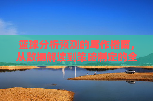 篮球分析预测的写作指南，从数据解读到策略制定的全流程解析