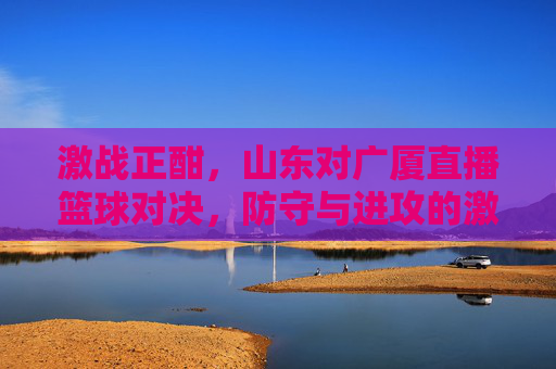 激战正酣,山东对广厦直播篮球对决,防守与进攻的激烈碰撞