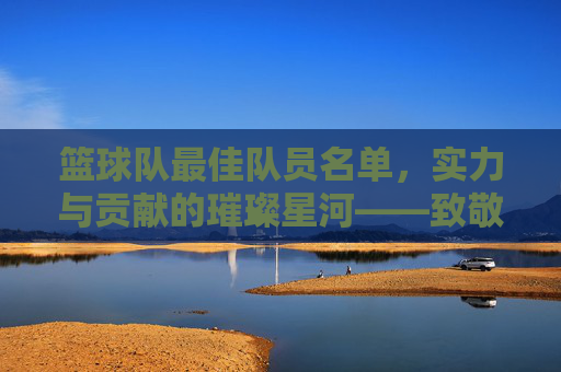 篮球队最佳队员名单，实力与贡献的璀璨星河——致敬赛场上的闪耀之星