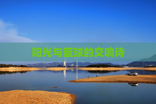 阳光与篮球的交响诗