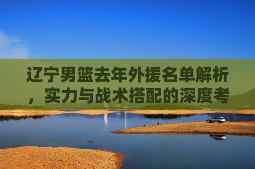 辽宁男篮去年外援名单解析,实力与战术搭配的深度考量,辽宁男篮去年外援名单解析,实力与战术搭配的深度考量