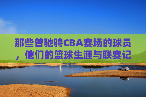 那些曾驰骋CBA赛场的球员,他们的篮球生涯与联赛记忆,那些曾驰骋CBA赛场的球员,篮球生涯与联赛记忆