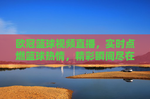 欧冠篮球视频直播，实时点燃篮球热情，精彩瞬间尽在掌握，欧冠篮球视频直播，实时点燃篮球热情，精彩瞬间尽在掌握