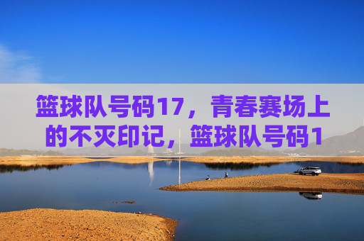 篮球队号码17,青春赛场上的不灭印记,篮球队号码17,青春赛场上的不灭印记