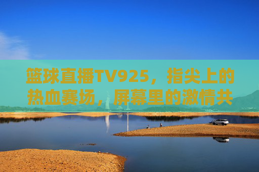 篮球直播TV925，指尖上的热血赛场，屏幕里的激情共鸣，篮球直播TV925，指尖上的热血赛场，屏幕里的激情共鸣