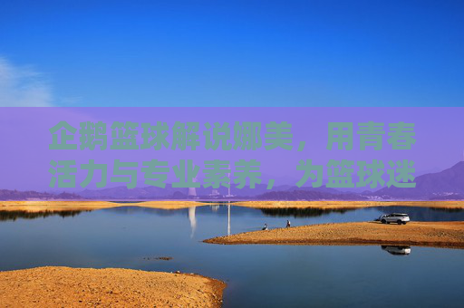 企鹅篮球解说娜美，用青春活力与专业素养，为篮球迷带来沉浸式解说盛宴，企鹅篮球解说娜美，用青春活力与专业素养，为篮球迷带来沉浸式解说盛宴