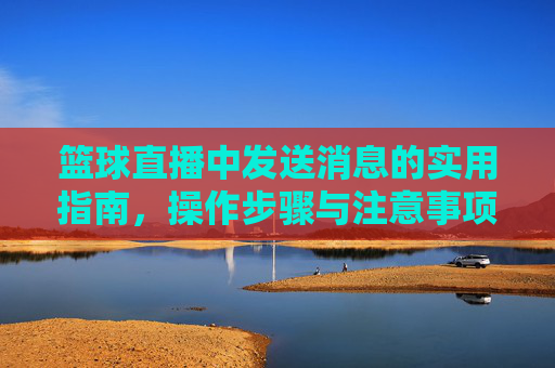 篮球直播中发送消息的实用指南,操作步骤与注意事项,篮球直播消息发送实用指南,操作步骤与注意事项