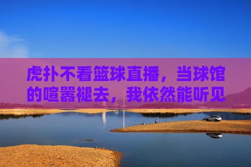 虎扑不看篮球直播,当球馆的喧嚣褪去,我依然能听见热爱的心跳