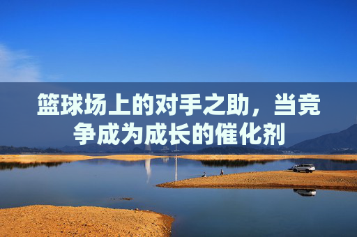 篮球场上的对手之助,当竞争成为成长的催化剂
