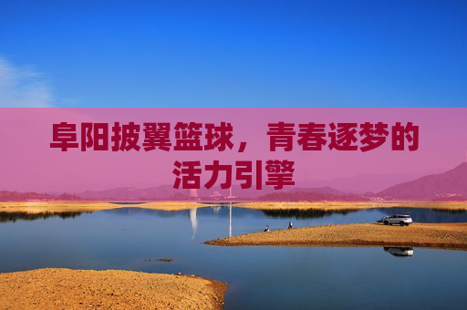 阜阳披翼篮球，青春逐梦的活力引擎