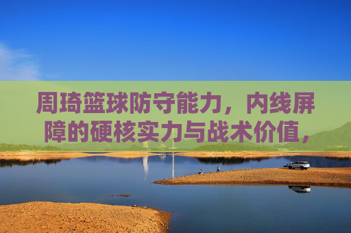 周琦篮球防守能力,内线屏障的硬核实力与战术价值,周琦内线防守,硬核屏障的实力与战术价值