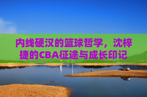 内线硬汉的篮球哲学,沈梓捷的CBA征途与成长印记