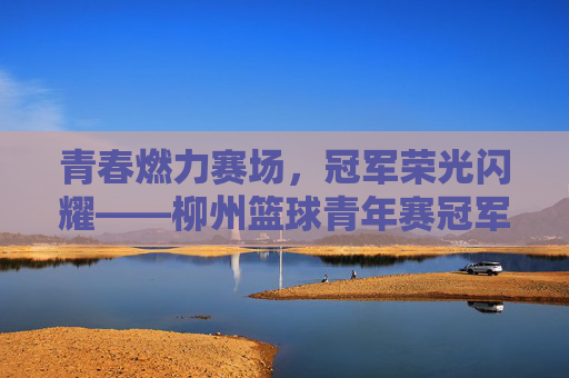 青春燃力赛场,冠军荣光闪耀——柳州篮球青年赛冠军队伍风采,青春燃力赛场,冠军荣光闪耀——柳州篮球青年赛冠军队伍风采
