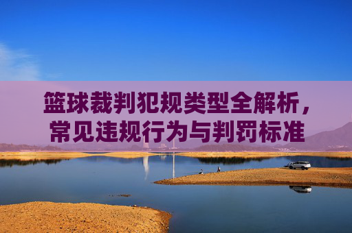 篮球裁判犯规类型全解析，常见违规行为与判罚标准