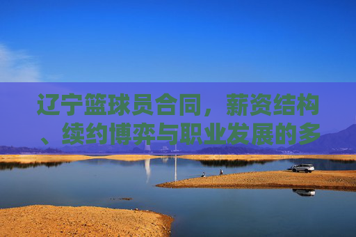 辽宁篮球员合同,薪资结构、续约博弈与职业发展的多维解析,辽宁篮球员合同,薪资结构、续约博弈与职业发展的多维解析