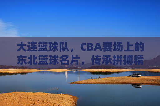 大连篮球队,CBA赛场上的东北篮球名片,传承拼搏精神与联赛征程,大连篮球队,CBA赛场上的东北篮球名片,传承拼搏精神与联赛征程