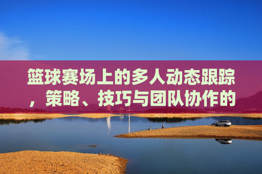 篮球赛场上的多人动态跟踪，策略、技巧与团队协作的交响，篮球赛场上的多人动态跟踪，策略、技巧与团队协作的交响
