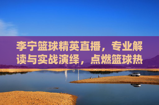 李宁篮球精英直播，专业解读与实战演绎，点燃篮球热情的精英盛宴，李宁篮球精英直播，专业解读与实战演绎，点燃篮球热情的精英盛宴
