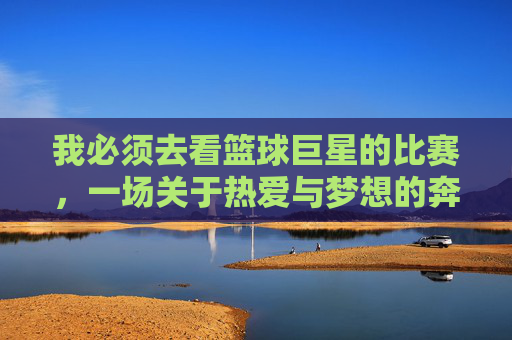 我必须去看篮球巨星的比赛,一场关于热爱与梦想的奔赴,篮球巨星比赛,一场关于热爱与梦想的奔赴现场