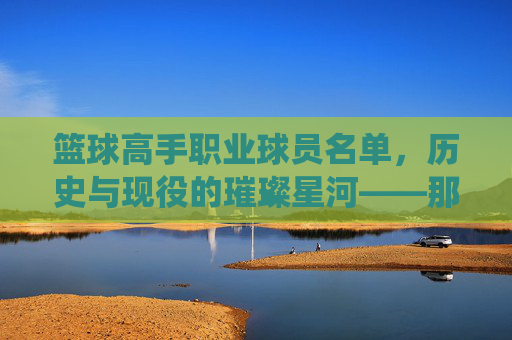 篮球高手职业球员名单，历史与现役的璀璨星河——那些定义时代的传奇与现役巨星，篮球高手职业球员名单，历史与现役的璀璨星河——那些定义时代的传奇与现役巨星