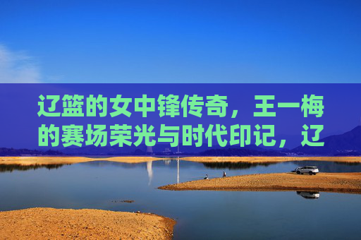 辽篮的女中锋传奇,王一梅的赛场荣光与时代印记,辽篮女中锋传奇,王一梅的赛场荣光与时代印记