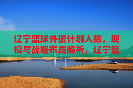 辽宁篮球外援计划人数,规模与战略布局解析,辽宁篮球外援计划,人数、规模与战略布局解析