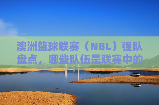 澳洲篮球联赛(NBL)强队盘点,哪些队伍是联赛中的常青树与夺冠热门?澳洲NBL强队盘点,常青树与夺冠热门队伍解析
