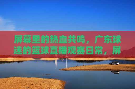 屏幕里的热血共鸣，广东球迷的篮球直播观赛日常，屏幕里的热血共鸣，广东球迷的篮球直播观赛日常